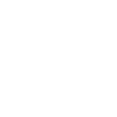 Strategy